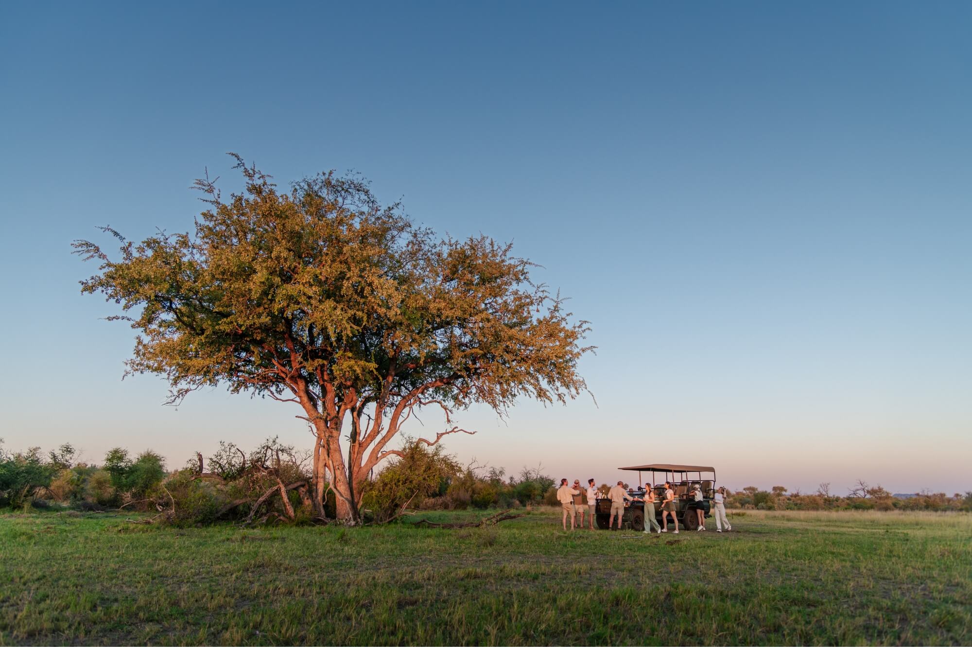 Madikwe Game Reserve