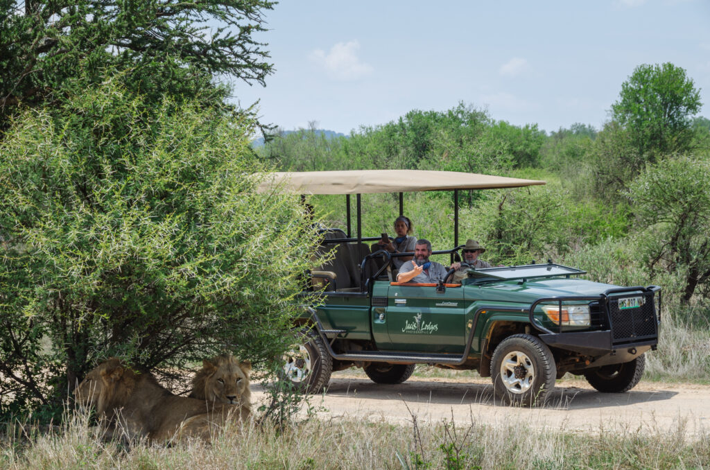 Jaci's Lodges Madikwe | Lodges in Madikwe Game Reserve