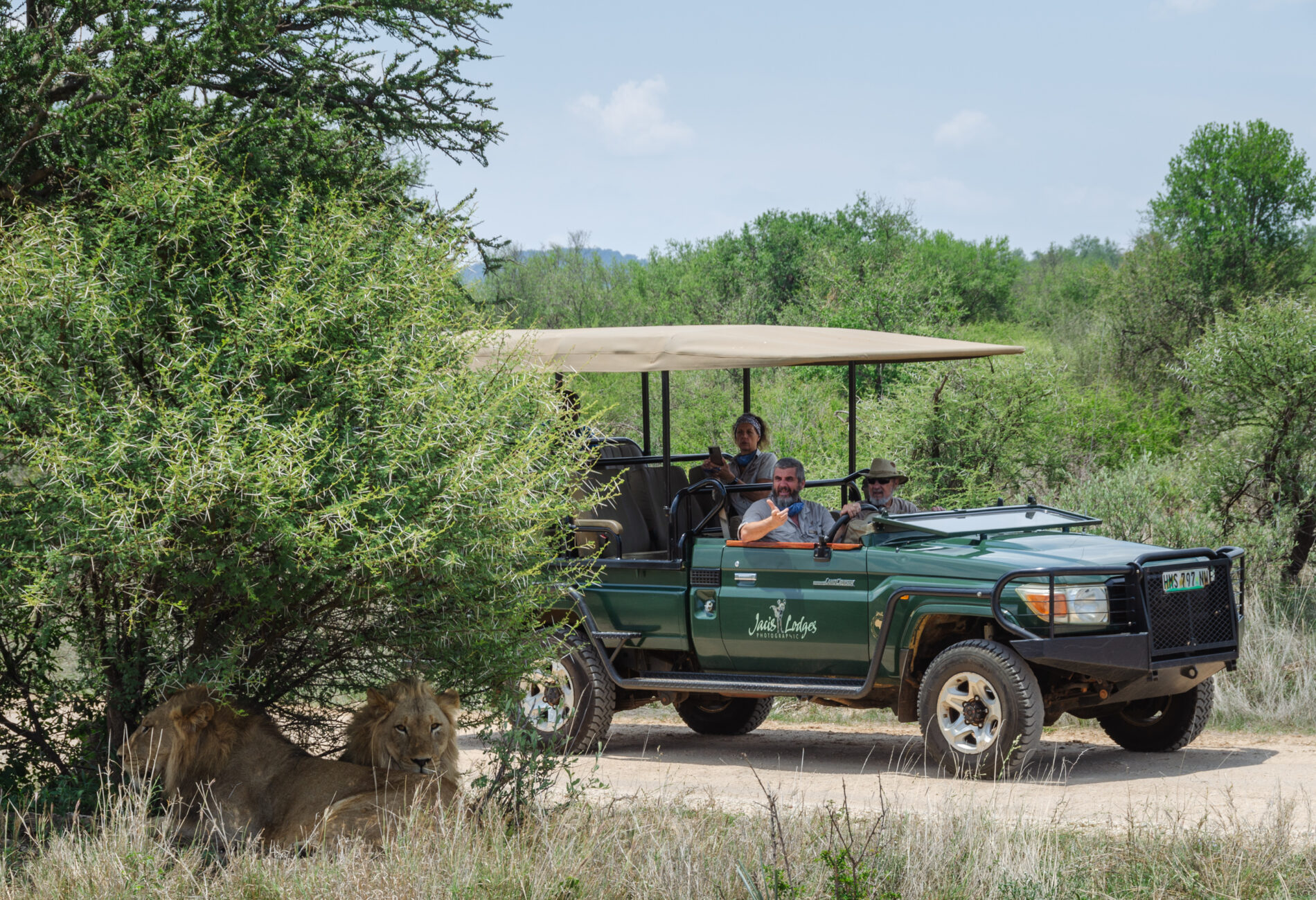 Jaci's Lodges Madikwe | Lodges in Madikwe Game Reserve